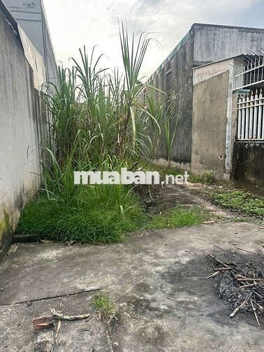 🙋‍♂️BÁN ĐẤT CHÍNH CHỦ MẶT TIỀN NHỰA NHÁNH TẠI ĐÔNG THẠNH HÓC MÔN