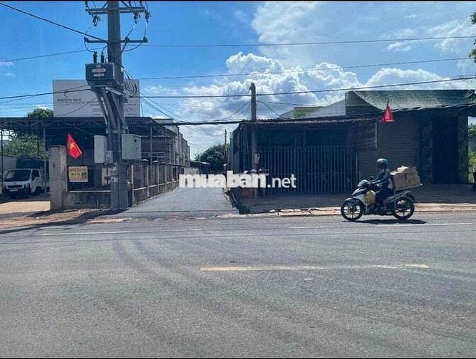 MẶt tiền đường nhựa lớn hơn 5m, buôn bán đều được.