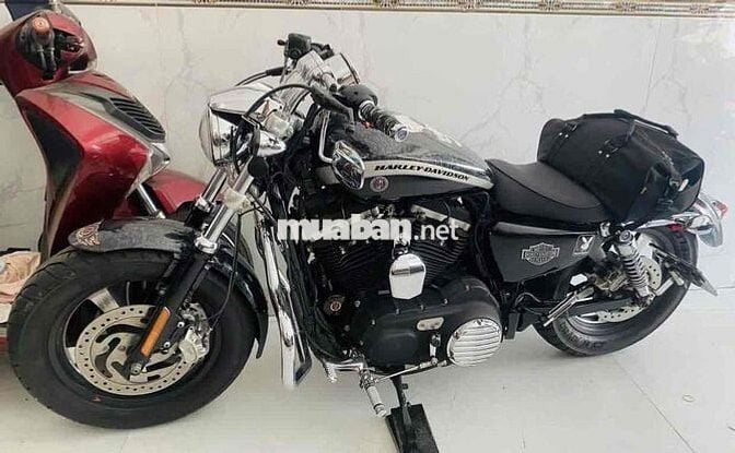Bán Harley Davidson Custom 1200 CA Limite- ABS ( t
