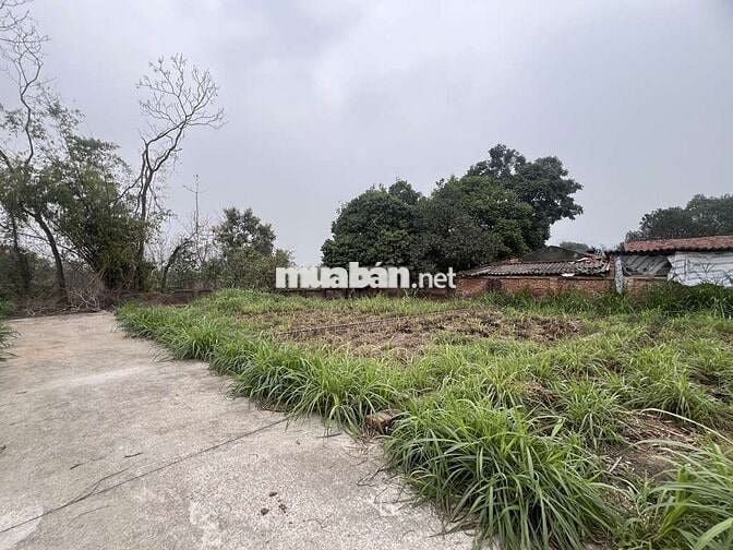 💥💥💥ĐẤT THÁI LAI, KIM ANH- GIÁ ĐẦU TƯ - OTO TRÁNH - KHU DÂN CƯ 💥💥