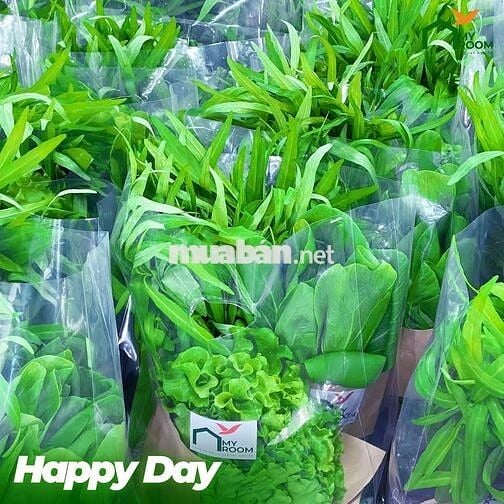 ✨ CĂN HỘ DỊCH VỤ CAO CẤP – 38/3-5-7 NGUYỄN VĂN TRỖI, Q. PHÚ NHUẬN ✨