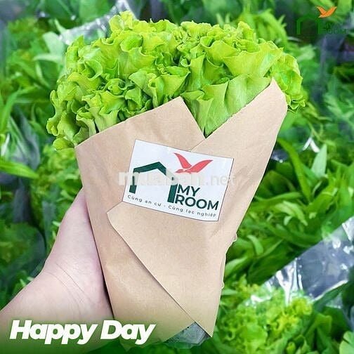 ✨ CĂN HỘ DỊCH VỤ CAO CẤP – 38/3-5-7 NGUYỄN VĂN TRỖI, Q. PHÚ NHUẬN ✨
