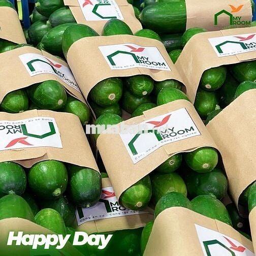 ✨ CĂN HỘ DỊCH VỤ CAO CẤP – 38/3-5-7 NGUYỄN VĂN TRỖI, Q. PHÚ NHUẬN ✨