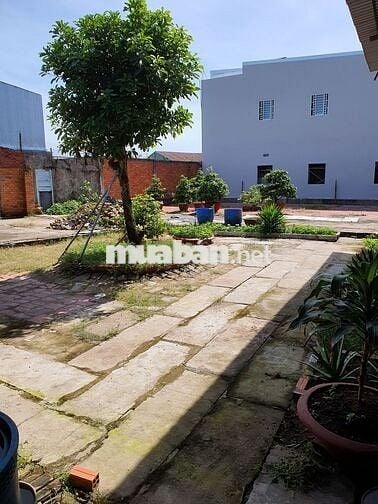 Cho thuê xưởng 1000 m² - đậu được xe tải - lót sàn gạch
