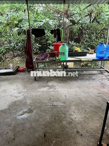 Nhà kế bệnh viện hạnh phuc long xuyen an giang