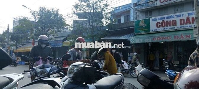 Chính chủ bán đất Đức Hòa – Gần khu công nghiệp, giá đầu tư cực tốt!