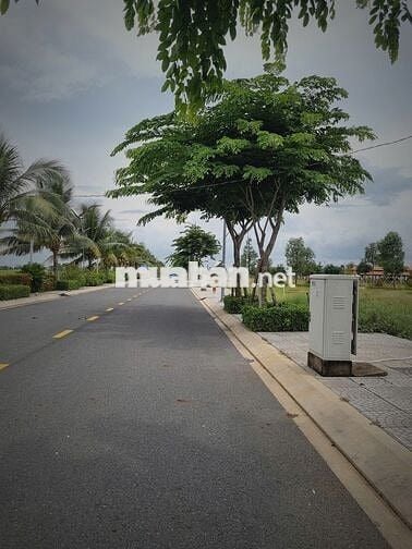 Đất nền trung tâm Đức Hòa – Sổ riêng từng nền, đầu tư sinh lời cao!