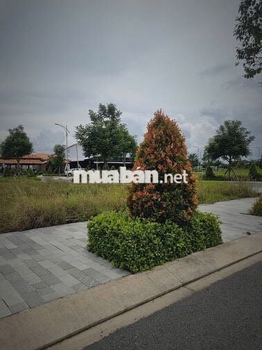 Đất nền trung tâm Đức Hòa – Sổ riêng từng nền, đầu tư sinh lời cao!
