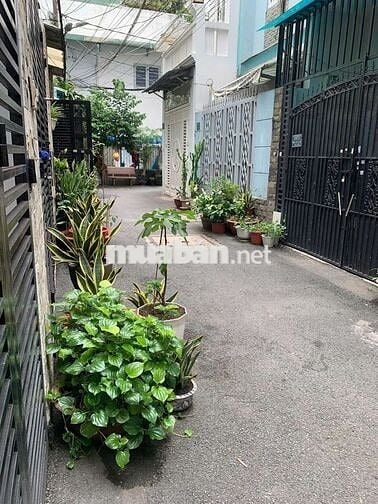 Gò Vấp Nguyễn Văn Khối Cho Thuê Nhà