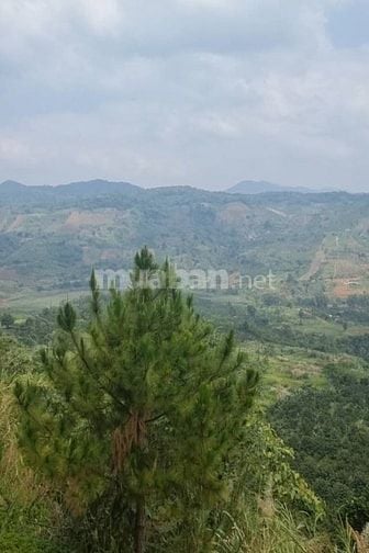 BÁN ĐẤT NỀN VIEW ĐẸP – MẶT TIỀN ĐƯỜNG VÀO HỒ NGỌC, LỘC TÂN – BẢO LỘC