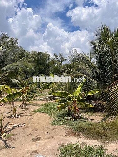 MẶt Tiền Lý Nhơn - Full Thổ - CHỈ 3,5 Tỷ❌❌❌