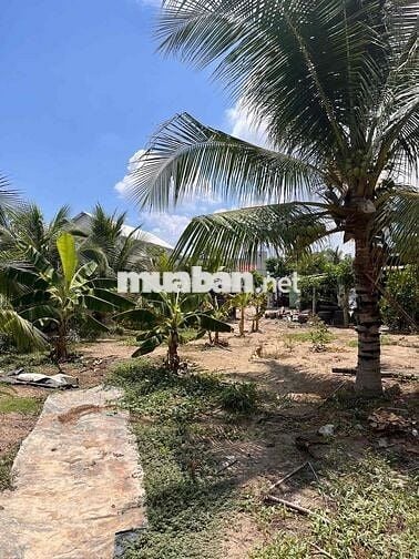 MẶt Tiền Lý Nhơn - Full Thổ - CHỈ 3,5 Tỷ❌❌❌