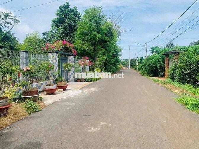 Bán lô Đất tặng 2 căn nhà cấp 4 tại phường Tam Long , TP.HCM