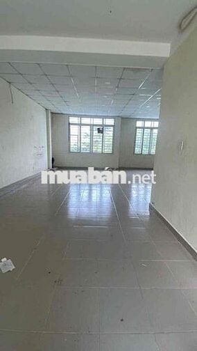 Chính Chủ - HXH Lê Trọng Tấn - DT 8x22m 1 trệt 1 lửng 1 lầu 3pn 3wc