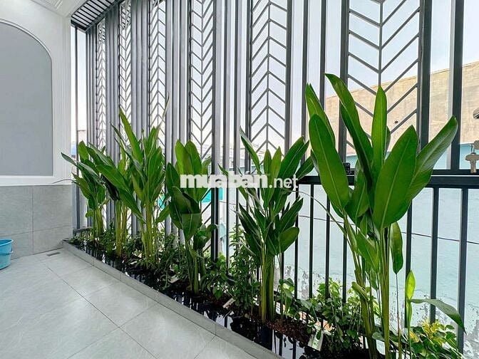 4,5x14 trệt lầu 3pn, nội thất cao cấp