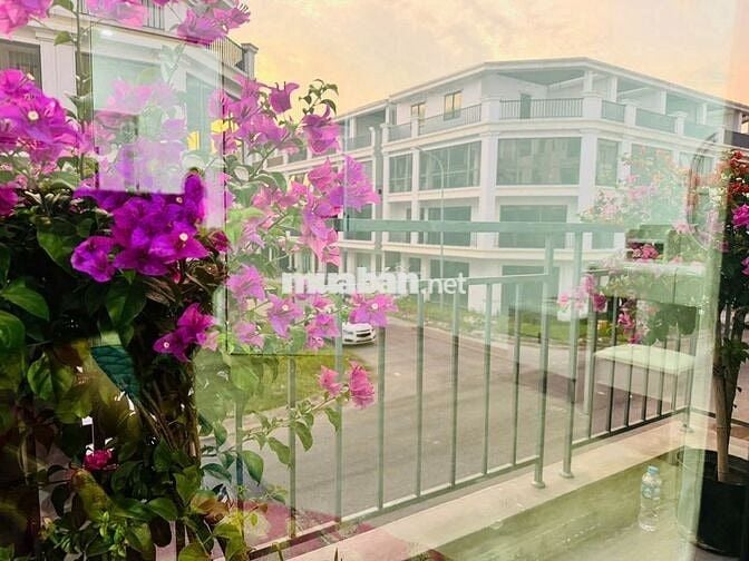 cần cho thuê nhà gần chợ góc khu công nghiêp vsip đại đông