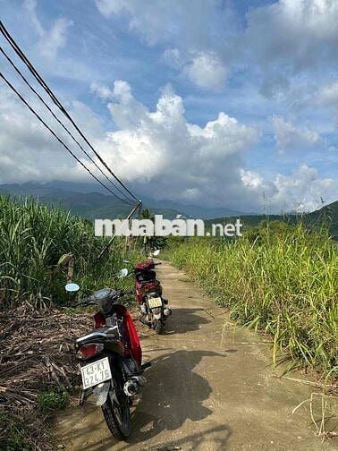bán nhanh lô đất vườn diện tích 2270m giá chỉ 1tỷ250