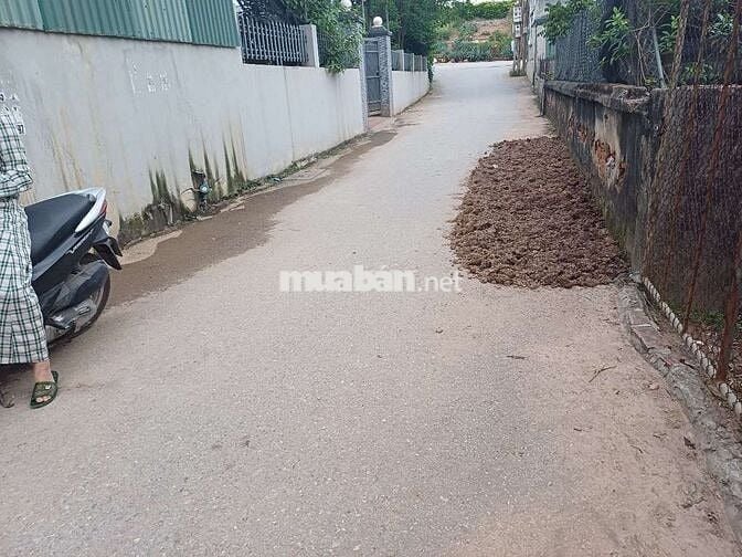 Bán đât phụng công , văn giang, hưng yên_ sát vách ecopark