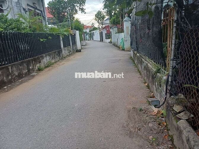 Bán đât phụng công , văn giang, hưng yên_ sát vách ecopark