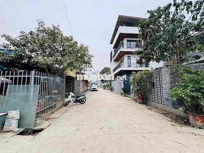 BAN ĐẤT MỄ SỞ , VĂN GIANG, HƯNG YÊN