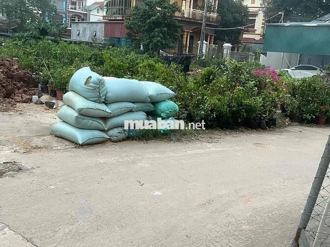 BÁN LÔ GÓC PHỤNG CÔNG VĂN GIANG HƯNG YÊN