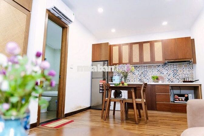 (Giảm giá) Cho thuê căn hộ 1K1N, 40m2, KV Đào Tấn, từ 10tr