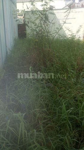 Đất bán đường Lê Thị Dung, xã Vĩnh Lộc a, Bình Chánh 