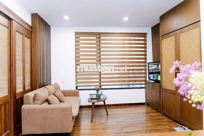 (Giảm giá) Cho thuê căn hộ 1K1N, 40m2, KV Đào Tấn, từ 10tr