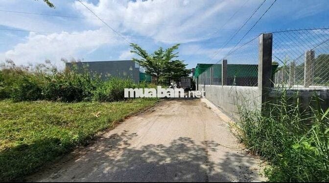 BÁN ĐẤT: chỉ 4,5tr/m2 đất 1/ Hương Lộ 2 ngay  TT Trảng Bàng - SHR