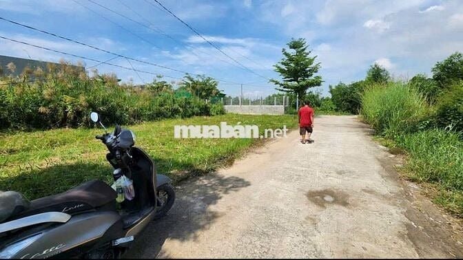 BÁN ĐẤT: chỉ 4,5tr/m2 đất 1/ Hương Lộ 2 ngay  TT Trảng Bàng - SHR