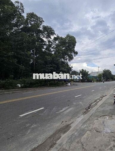 Cho thuê kho 300m2 mới 100% Phú Tân, Thủ Dầu Một
