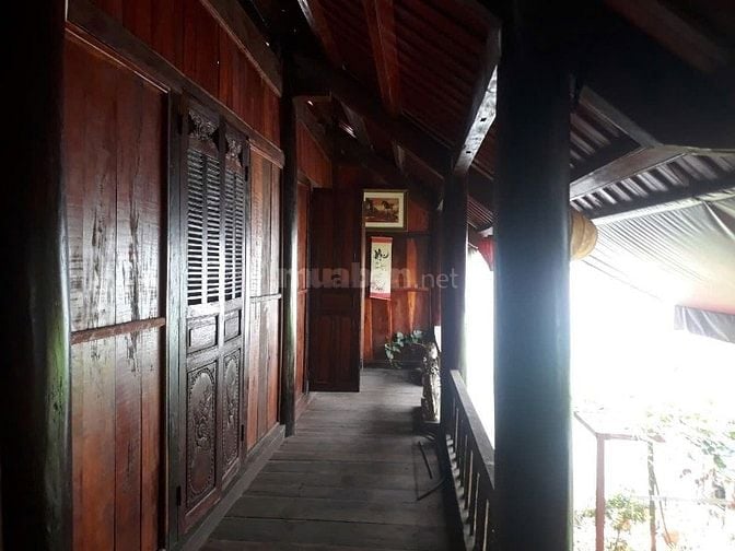 Biệt thự gỗ lim, Nguyễn Thị Thập, 180m2, 15.49 tỷ