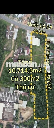 BÁN ĐẤT VỊ TRÍ VÀNG QL1A DO ĐI ĐỊNH CƯ NƯỚC NGOÀI
