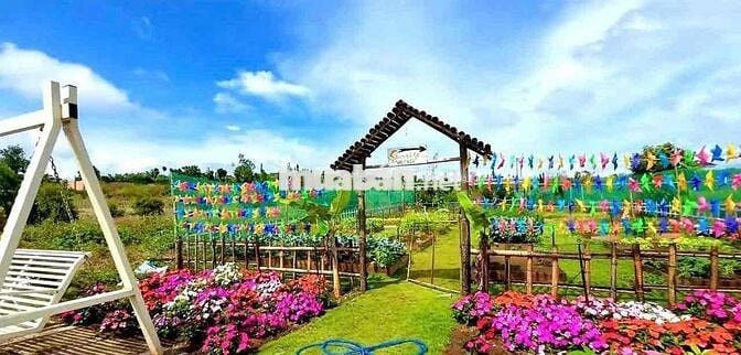 Lô đất 3 mặt tiền sẳn thổ cư Lộc Quảng