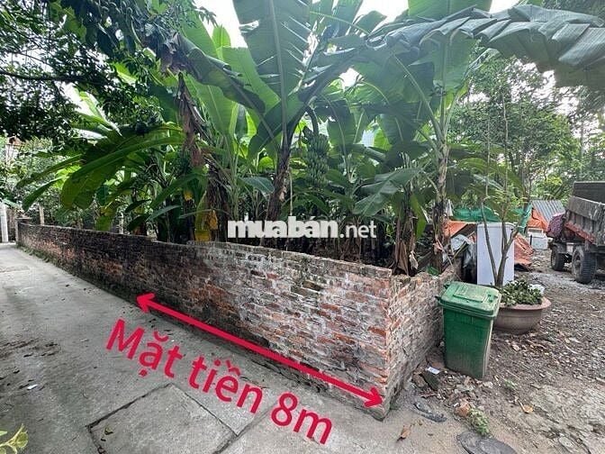 Bán gấp đất Vạn Phúc Đông Mỹ lô góc ô tô  diện tích rộng giá   3.8 tỷ