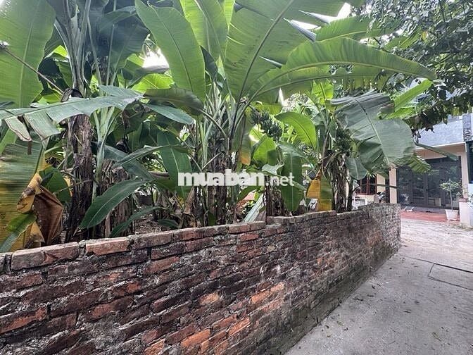 Bán gấp đất Vạn Phúc Đông Mỹ lô góc ô tô  diện tích rộng giá   3.8 tỷ Bán gấp đất Vạn Phúc Đông Mỹ lô góc ô tô  diện tích rộng giá   3.8 tỷ