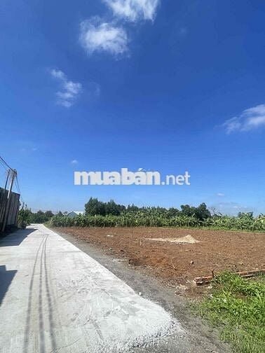BÁN ĐẤT THỔ CƯ 5X29M SÁT CHỢ SÔNG TRẦU TRẢNG BOM ĐN