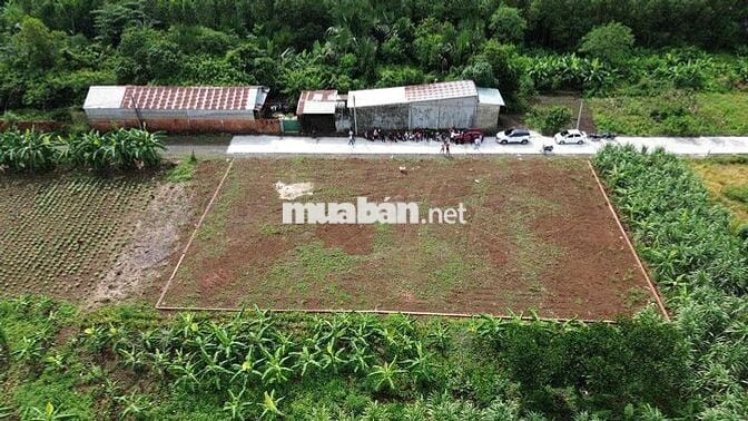 BÁN ĐẤT THỔ CƯ 5X29M SÁT CHỢ SÔNG TRẦU TRẢNG BOM ĐN