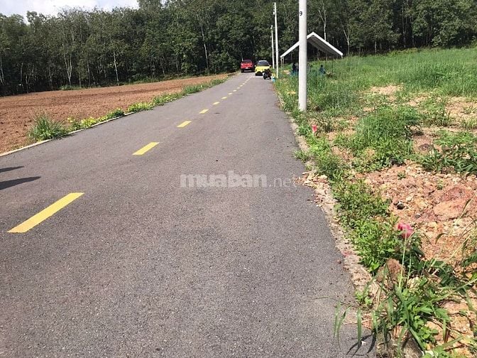 Bán đất đối diện chợ An Linh Phú Giáo 