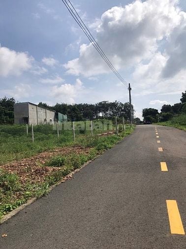 Bán đất đối diện chợ An Linh Phú Giáo 