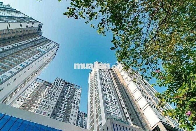 Căn hộ chung cư cao cấp 90m2 3PN Xi Grand Court Q.10
