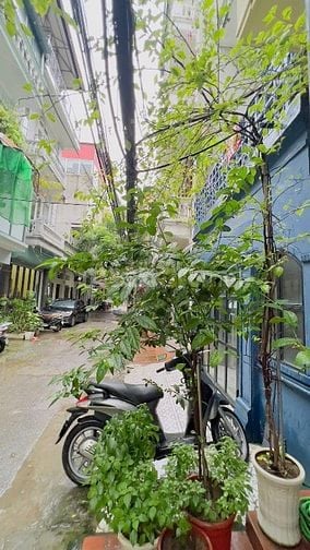 Nhà Ngõ 34 Hoàng Cầu - Gần Hồ Ô Tô Đỗ Cửa - 55m2* 4 tầng - Kinh Doanh