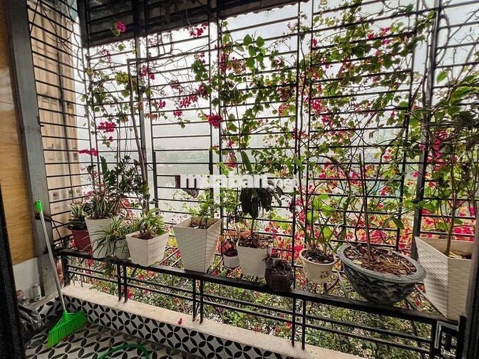 BÁN NHÀ THANH XUÂN - MẶT PHỐ - VIEW HỒ - OTO TRÁNH - Ở NGAY