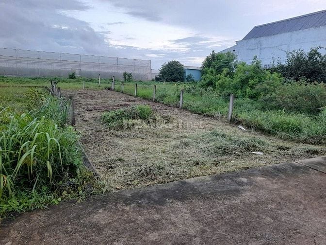 Bán đất Gia Cát 1 tại xã Long Tân cũ (nay là xã Đất Đỏ, TP.HCM)
