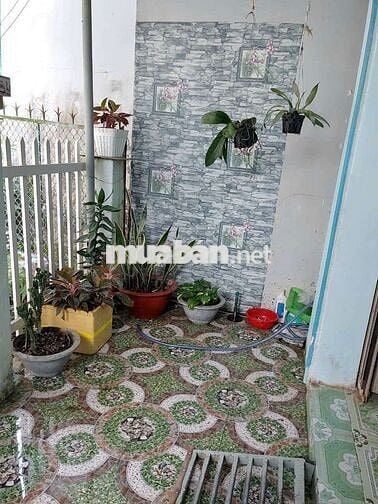 CHO THUÊ NHÀ NGUYÊN CĂN MÁT MẺ