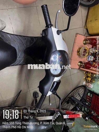 Cần bán xe zip 100c chính chủ biển số TP