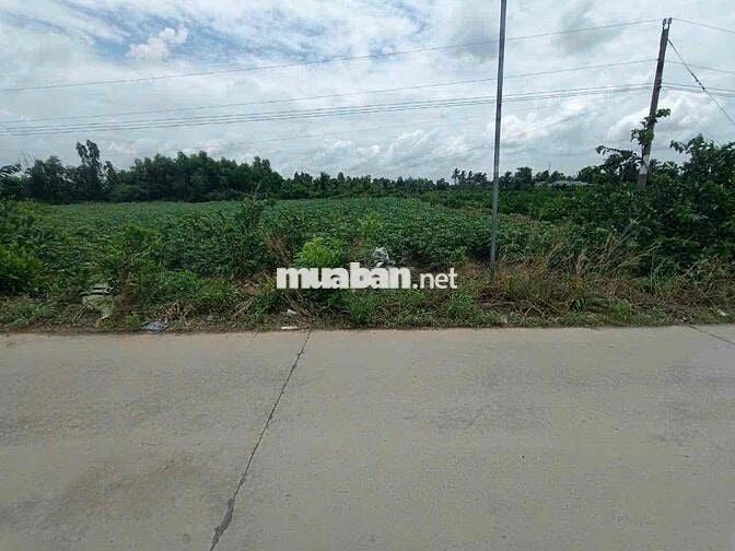 7190m Đất Vườn MT Đan Liên Ấp 5-6 Xã Bình Đức