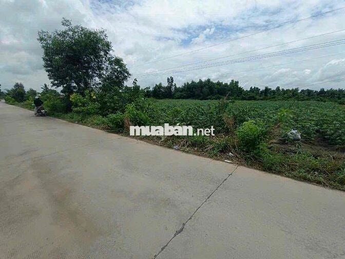 7190m Đất Vườn MT Đan Liên Ấp 5-6 Xã Bình Đức