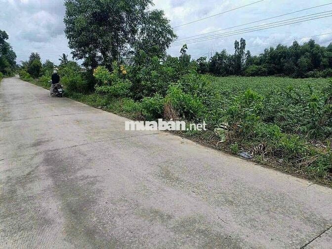 7190m Đất Vườn MT Đan Liên Ấp 5-6 Xã Bình Đức