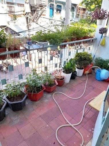 🔵 Cho thuê nhà mặt tiền Phong Phú Q8. (4.2X17) 2Tầng, KD Tự Do, 17tr